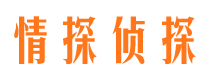 华县侦探公司